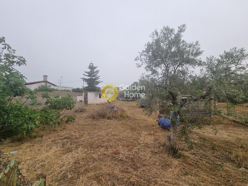 Οικόπεδο 882 τ.μ. προς πώληση, Εύβοια, Ανθηδώνος