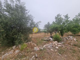 Οικόπεδο 882 τ.μ. προς πώληση, Δροσιά Ανθηδώνος-thumb-1