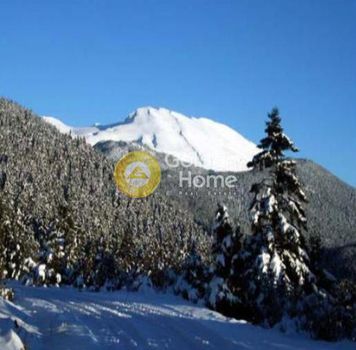 Οικόπεδο 50.000 τ.μ. για πώληση