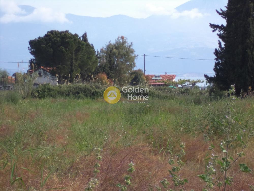 Parcel 4.147 sqm for sale, Avithos