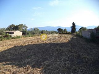 Αγροτεμάχια 4.147 τ.μ. προς πώληση, Άβυθος-thumb-8