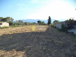 Αγροτεμάχια 4.147 τ.μ. προς πώληση, Άβυθος-thumb-7