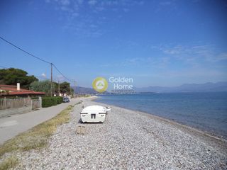 Αγροτεμάχια 4.147 τ.μ. προς πώληση, Άβυθος-thumb-5