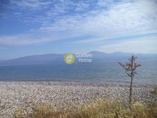 Αγροτεμάχια 4.147 τ.μ. για πώληση