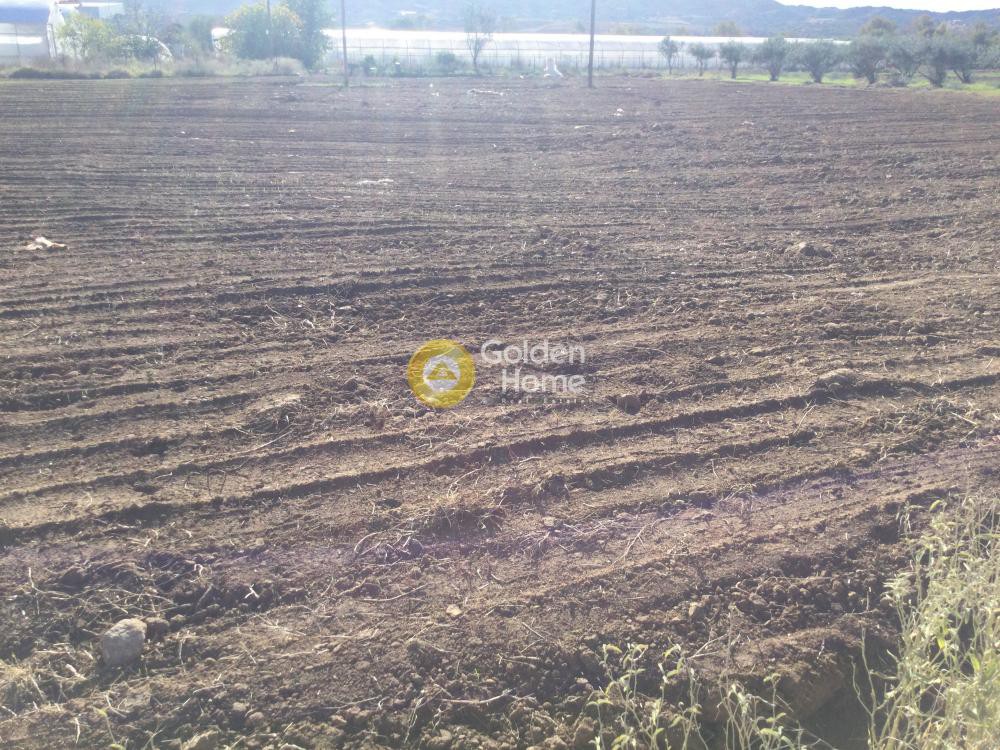 Αγροτεμάχια 4.087 τ.μ. προς πώληση, Θεσσαλονίκη - Περιφ/Κοί Δήμοι, Θέρμη