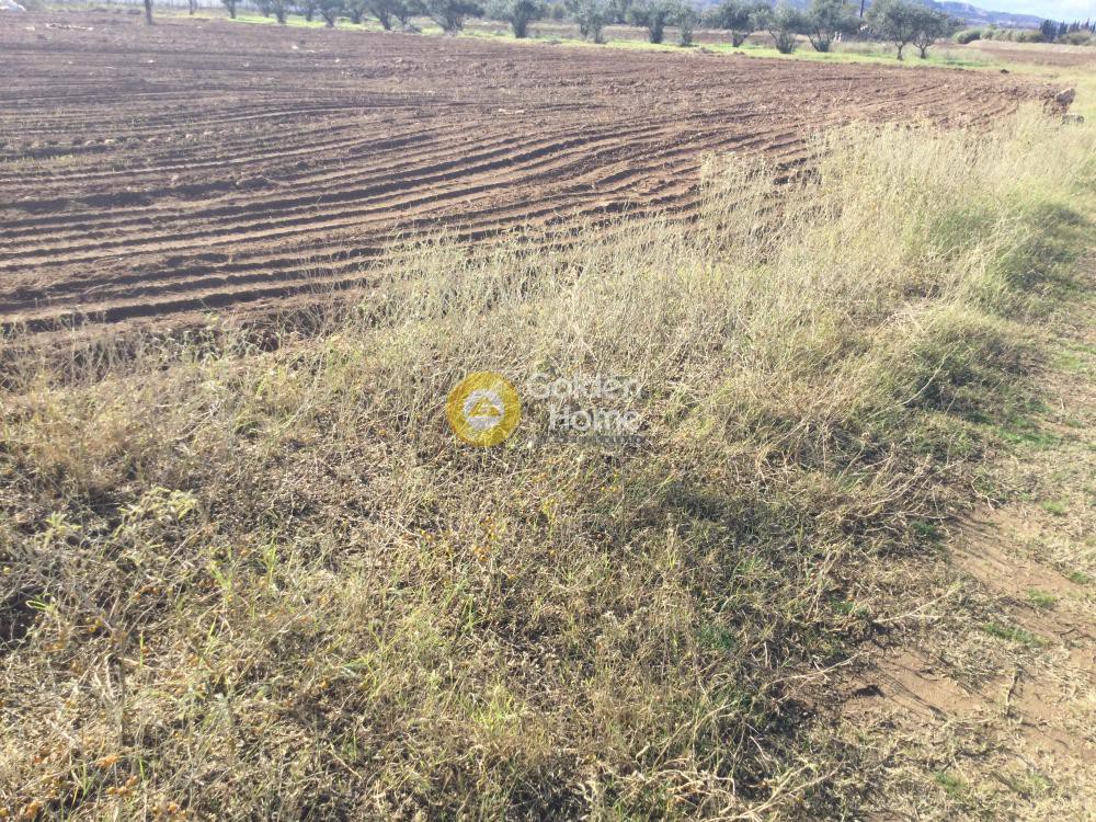 Αγροτεμάχια 4.087 τ.μ. προς πώληση, Θεσσαλονίκη - Περιφ/Κοί Δήμοι, Θέρμη