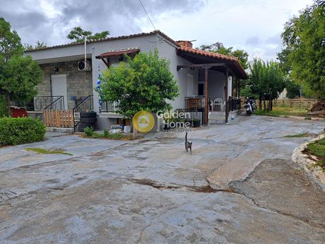 Μονοκατοικία 105τ.μ. για πώληση-Σχηματάρι » Κέντρο