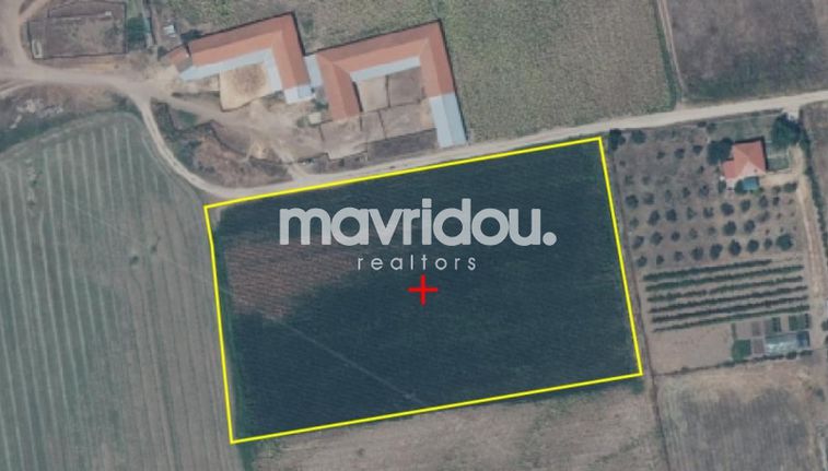 Parcel 8.159 sqm for sale, Xanthi Prefecture, Avdira