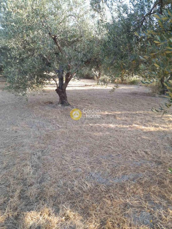 Οικόπεδο 882 τ.μ. προς πώληση, Σταυράκια