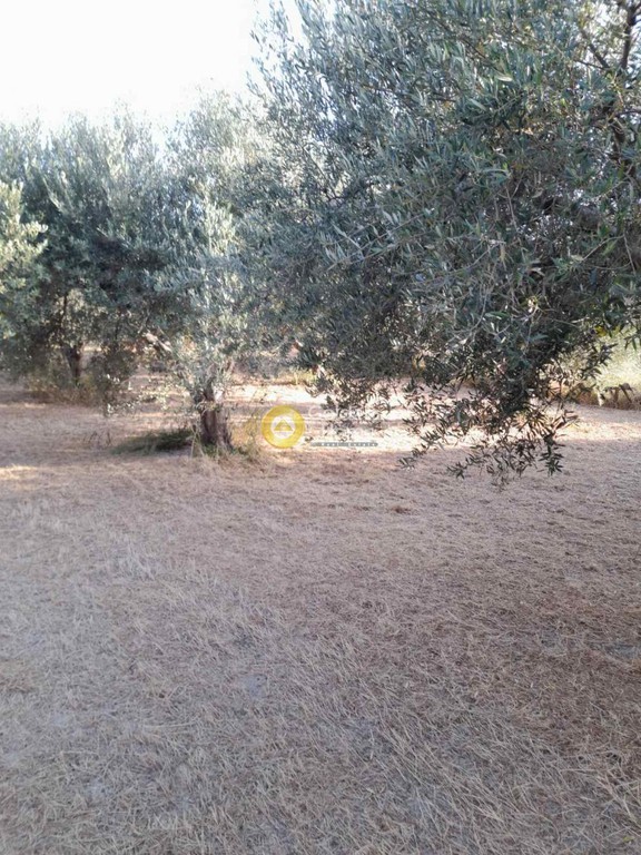 Οικόπεδο 882 τ.μ. προς πώληση, Σταυράκια