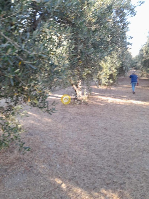 Οικόπεδο 882 τ.μ. προς πώληση, Σταυράκια