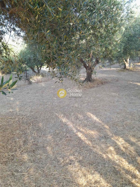 Οικόπεδο 882 τ.μ. προς πώληση, Σταυράκια