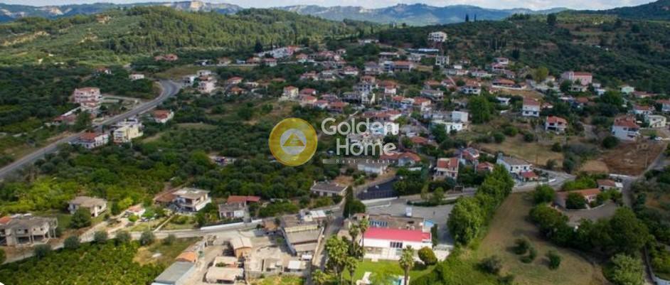 Αγροτεμάχια 7.048 τ.μ. προς πώληση, Ν. Ηλείας, Πύργος