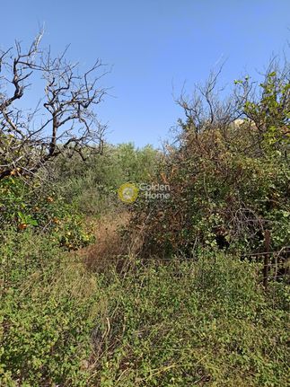 Οικόπεδο 419 τ.μ. για πώληση, Κορινθία, Ξυλόκαστρο