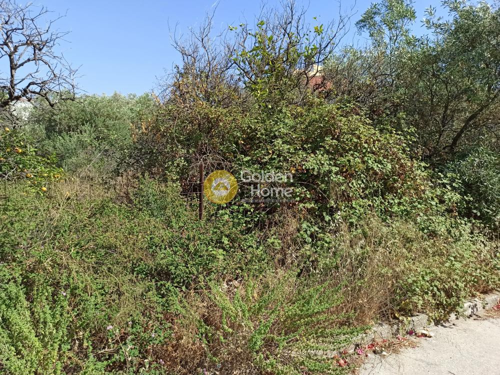 Οικόπεδο 419 τ.μ. προς πώληση, Κορινθία, Ξυλόκαστρο