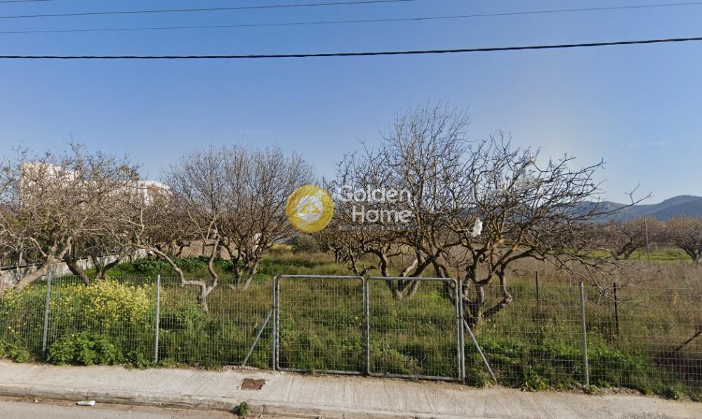 Οικόπεδο 1.055 τ.μ. προς ενοικίαση, Αττική - Υπόλοιπο, Παλαιά Φώκαια