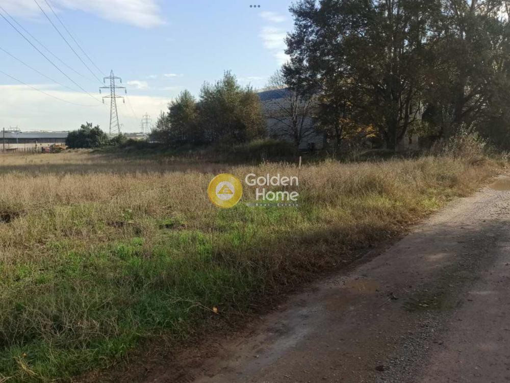 Αγροτεμάχια 12.039 τ.μ. προς πώληση, Θεσσαλονίκη - Περιφ/Κοί Δήμοι, Εχέδωρος