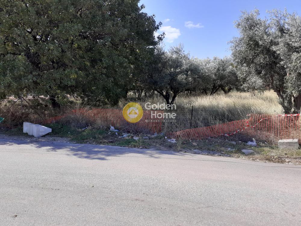 Οικόπεδο 2.240 τ.μ. προς πώληση, Αθήνα - Ανατολικά Προάστια, Παλλήνη