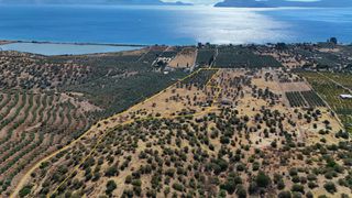 Αγροτεμάχια 53.500 τ.μ. για πώληση