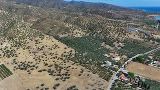 Αγροτεμάχια 53.500 τ.μ. για πώληση, Αργολίδα, Ερμιόνη-thumb-12