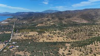 Αγροτεμάχια 53.500 τ.μ. για πώληση, Αργολίδα, Ερμιόνη-thumb-2
