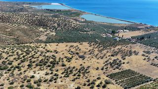 Αγροτεμάχια 53.500 τ.μ. για πώληση, Αργολίδα, Ερμιόνη-thumb-8
