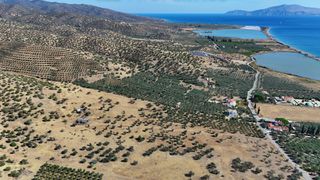 Αγροτεμάχια 53.500 τ.μ. για πώληση, Αργολίδα, Ερμιόνη-thumb-10