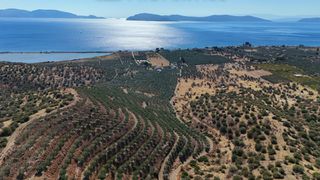 Αγροτεμάχια 53.500 τ.μ. για πώληση, Αργολίδα, Ερμιόνη-thumb-11