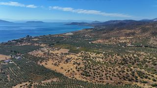 Αγροτεμάχια 53.500 τ.μ. για πώληση, Αργολίδα, Ερμιόνη-thumb-3