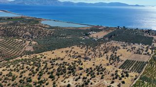 Αγροτεμάχια 53.500 τ.μ. για πώληση, Αργολίδα, Ερμιόνη-thumb-6