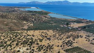 Αγροτεμάχια 53.500 τ.μ. για πώληση, Αργολίδα, Ερμιόνη-thumb-9