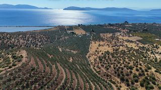 Αγροτεμάχια 53.500 τ.μ. για πώληση, Αργολίδα, Ερμιόνη-thumb-4