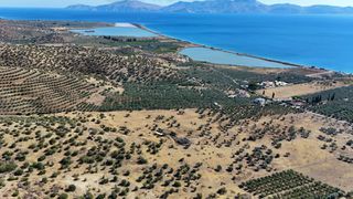 Αγροτεμάχια 53.500 τ.μ. για πώληση, Αργολίδα, Ερμιόνη-thumb-7