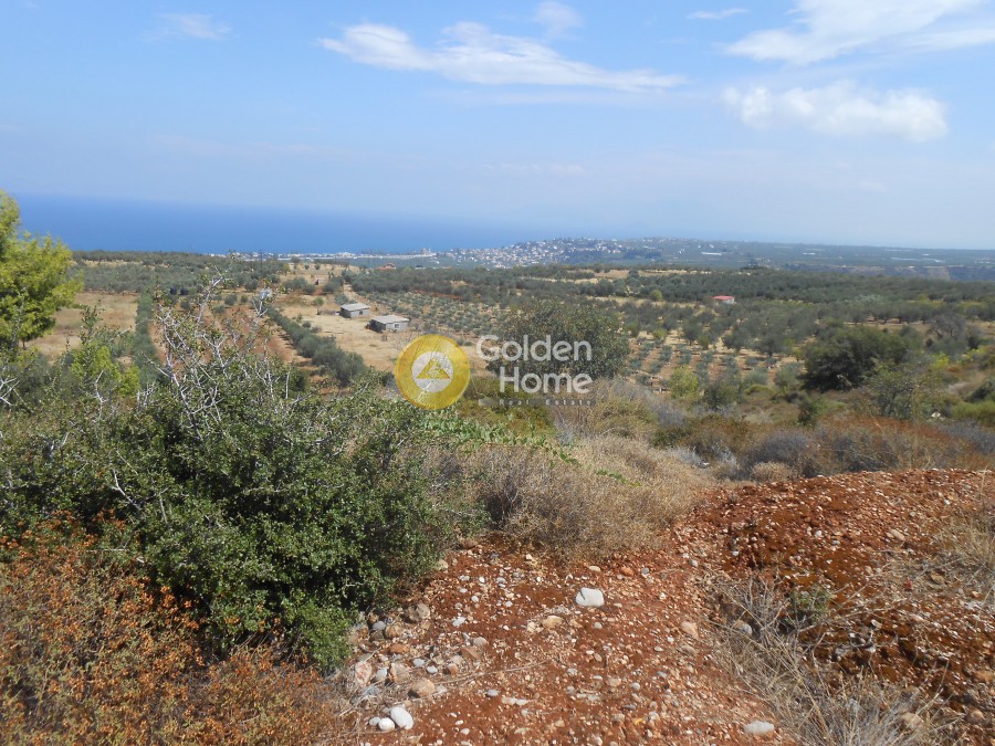 Αγροτεμάχια 8.008 τ.μ. προς πώληση, Γελινιάτικα