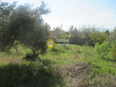Land plot 230 sqm for sale