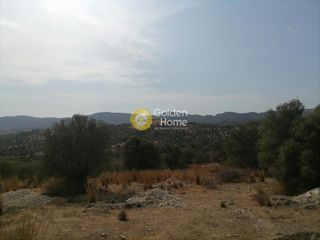 Οικόπεδο 4.606 τ.μ. προς πώληση, Καμηλάρι-thumb-17