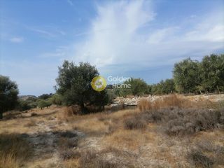 Οικόπεδο 4.606 τ.μ. προς πώληση, Καμηλάρι-thumb-9