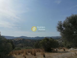 Οικόπεδο 4.606 τ.μ. προς πώληση, Καμηλάρι-thumb-16