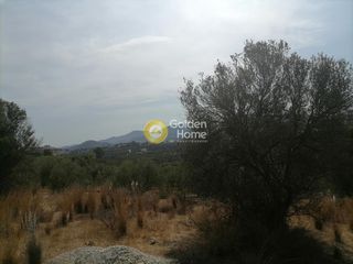 Οικόπεδο 4.606 τ.μ. προς πώληση, Καμηλάρι-thumb-21