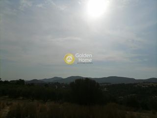 Οικόπεδο 4.606 τ.μ. προς πώληση, Καμηλάρι-thumb-8