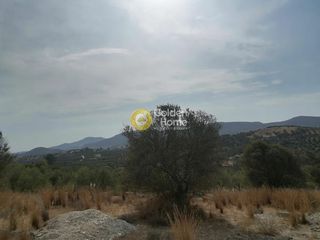 Οικόπεδο 4.606 τ.μ. προς πώληση, Καμηλάρι-thumb-19