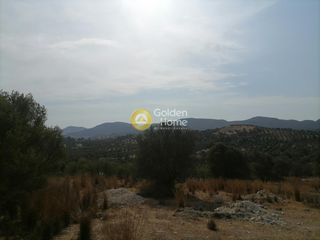 Οικόπεδο 4.606 τ.μ. προς πώληση, Καμηλάρι-thumb-15