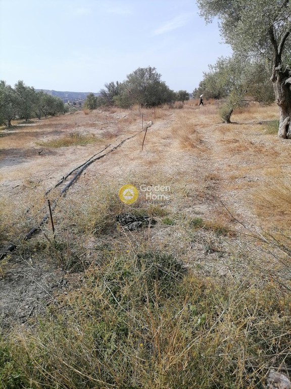 Οικόπεδο 4.606 τ.μ. προς πώληση, Ν. Ηρακλείου, Τυμπάκι