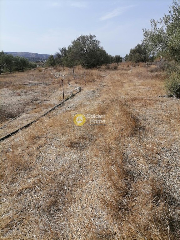 Οικόπεδο 4.606 τ.μ. προς πώληση, Ν. Ηρακλείου, Τυμπάκι