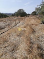 Οικόπεδο 4.606 τ.μ. προς πώληση, Καμηλάρι-thumb-4