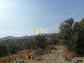 Οικόπεδο 4.606 τ.μ. προς πώληση, Καμηλάρι-thumb-22