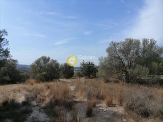 Οικόπεδο 4.606 τ.μ. προς πώληση, Καμηλάρι-thumb-5