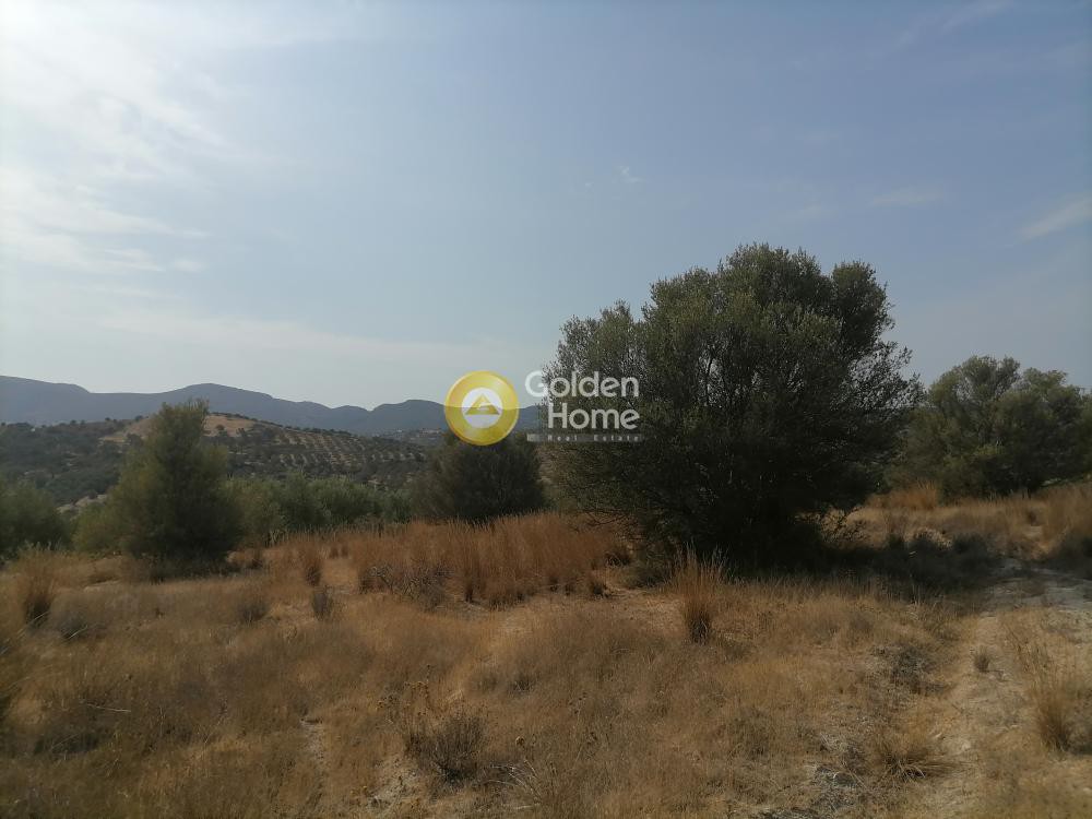 Οικόπεδο 4.606 τ.μ. προς πώληση, Ν. Ηρακλείου, Τυμπάκι