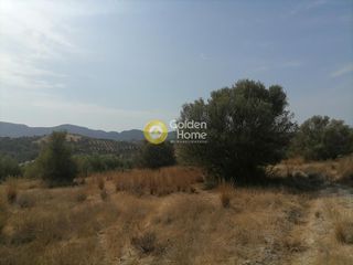 Οικόπεδο 4.606 τ.μ. προς πώληση, Καμηλάρι-thumb-3