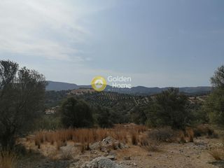 Οικόπεδο 4.606 τ.μ. προς πώληση, Καμηλάρι-thumb-18